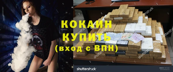 сатива Алзамай